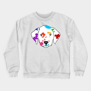 101 Color Drops Crewneck Sweatshirt